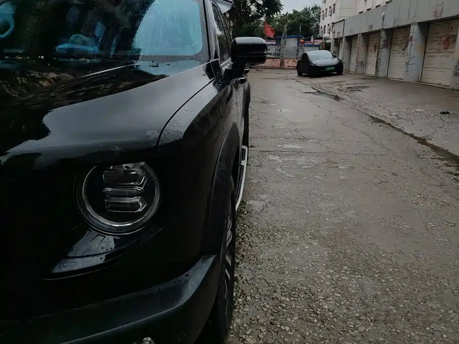 Haval Big Dog — миниатюра 5
