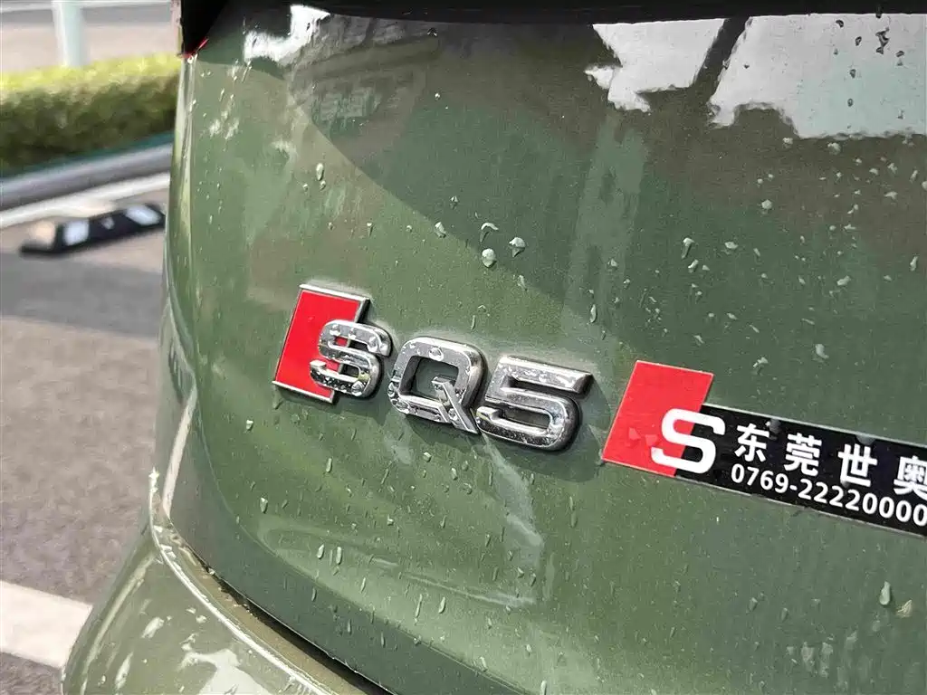 Audi SQ5 — миниатюра 13