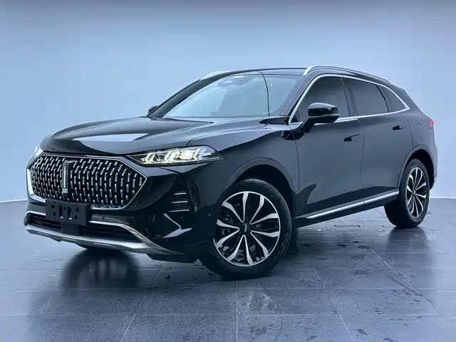 WEI PAI WEI BRAND MOCHA 2022