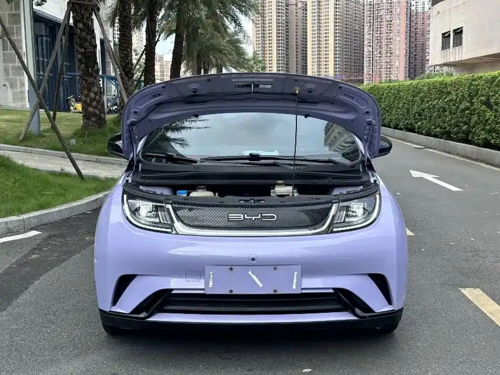 BYD Dolphin - фото 15