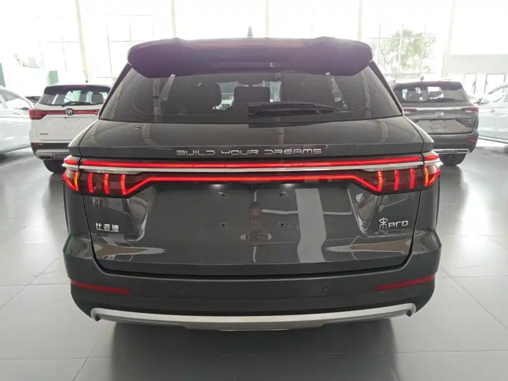 BYD Pro — миниатюра 4