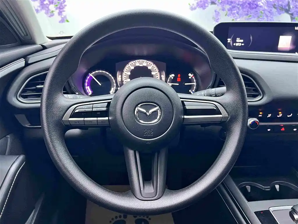 Mazda CX-30 EV — миниатюра 14