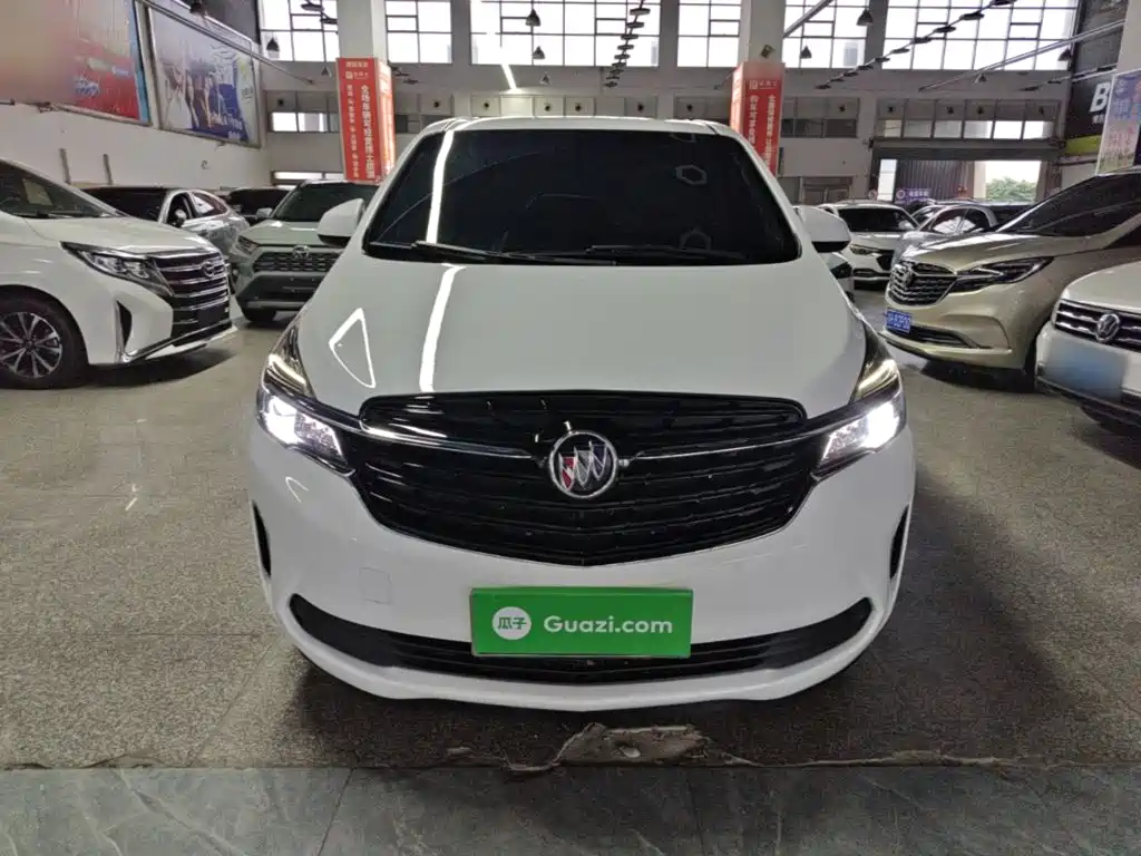 Buick GL8 — миниатюра 3