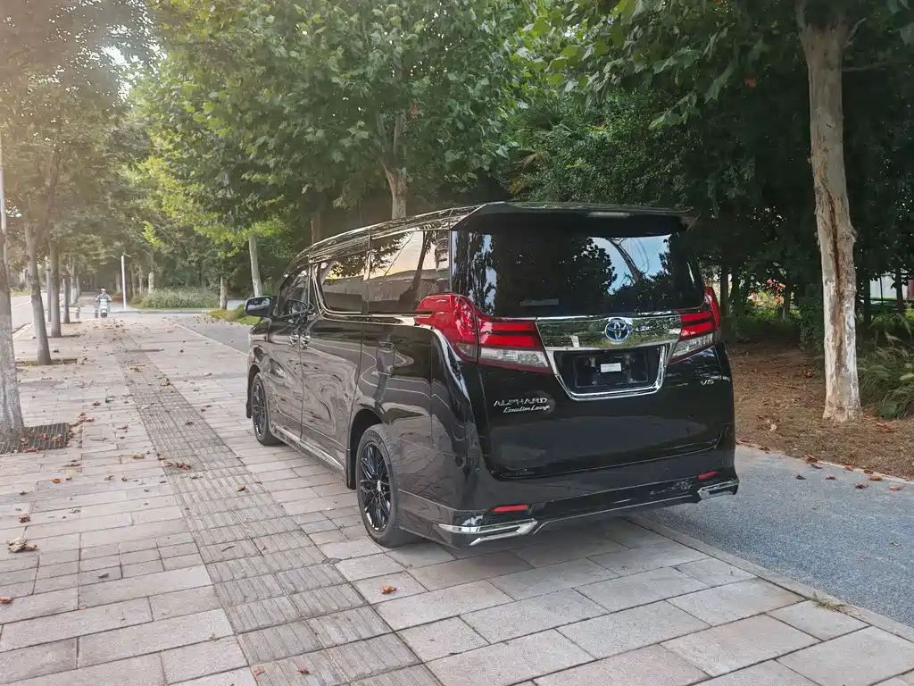 Toyota Alphard — миниатюра 8