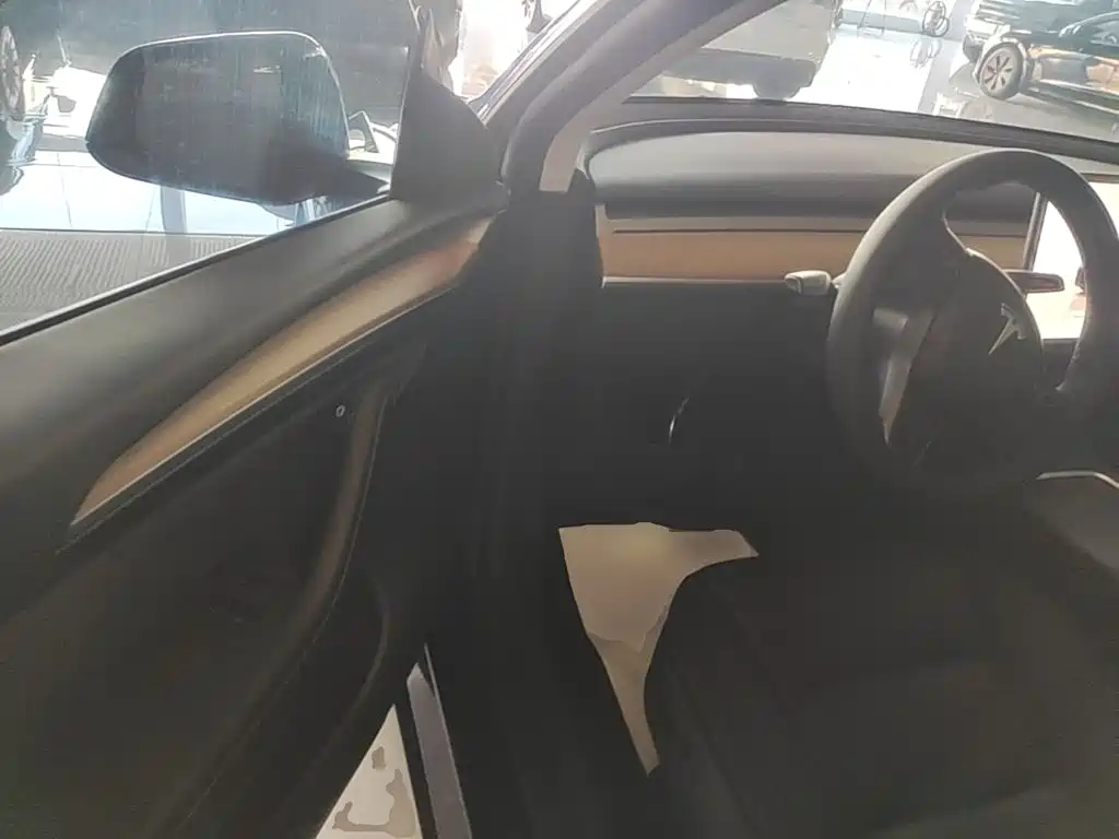 Tesla Model Y — миниатюра 16