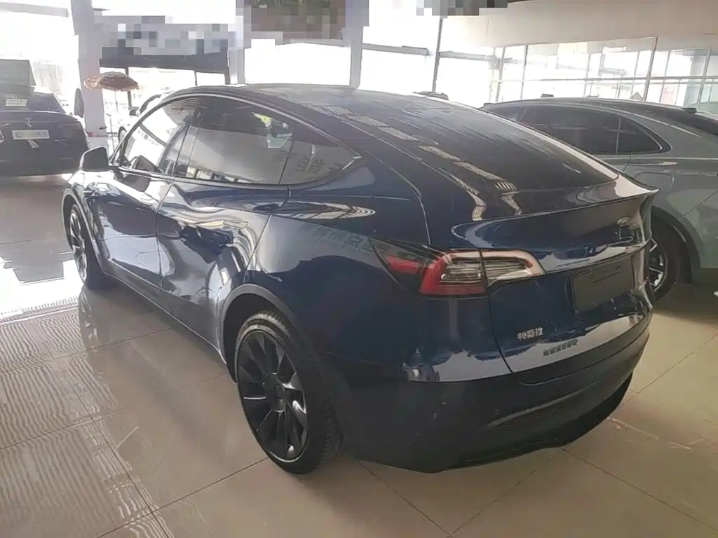 Tesla Model Y — миниатюра 5