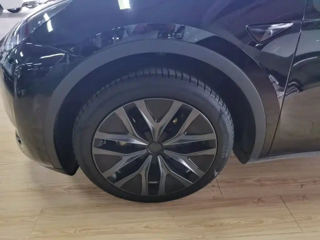 Tesla Model Y — миниатюра 23