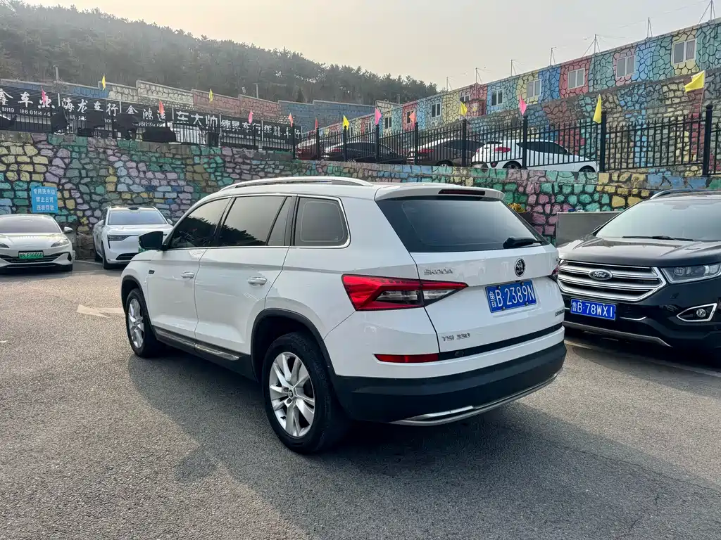 Skoda Kodiaq TSI330 7 seats 2WD Luxury Edition, фото 7