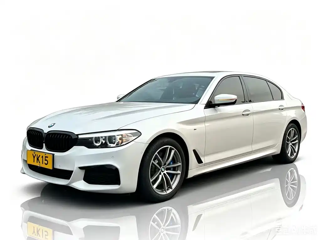 BMW 5 Series 2019