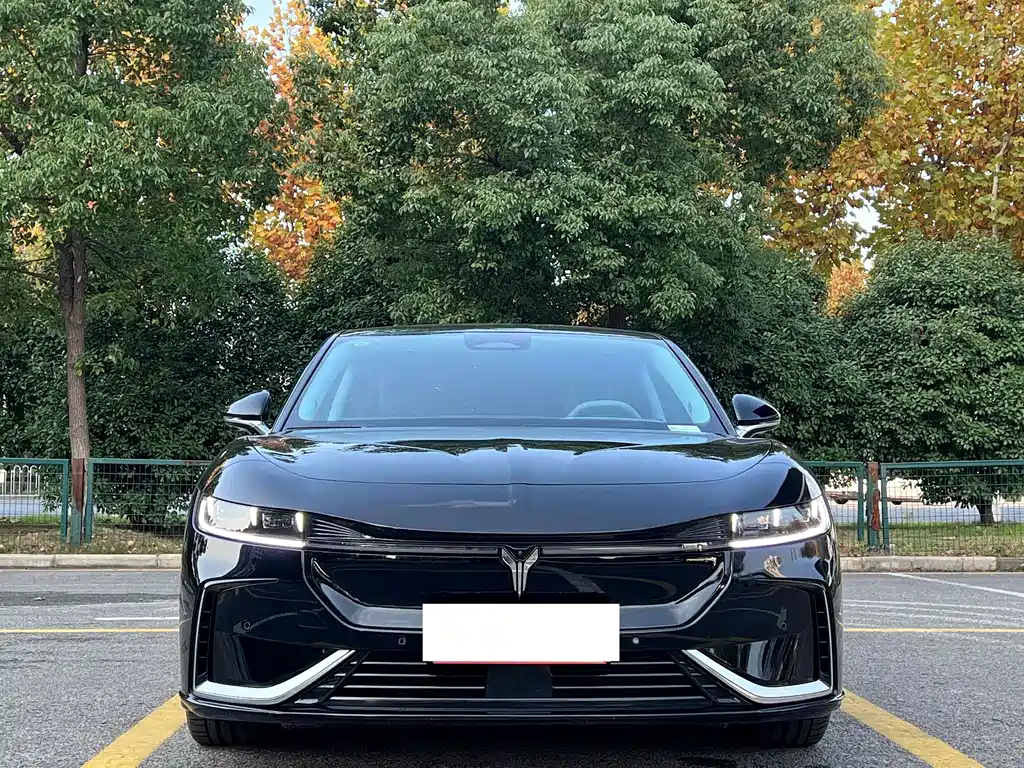 VOYAH Passion — миниатюра 2