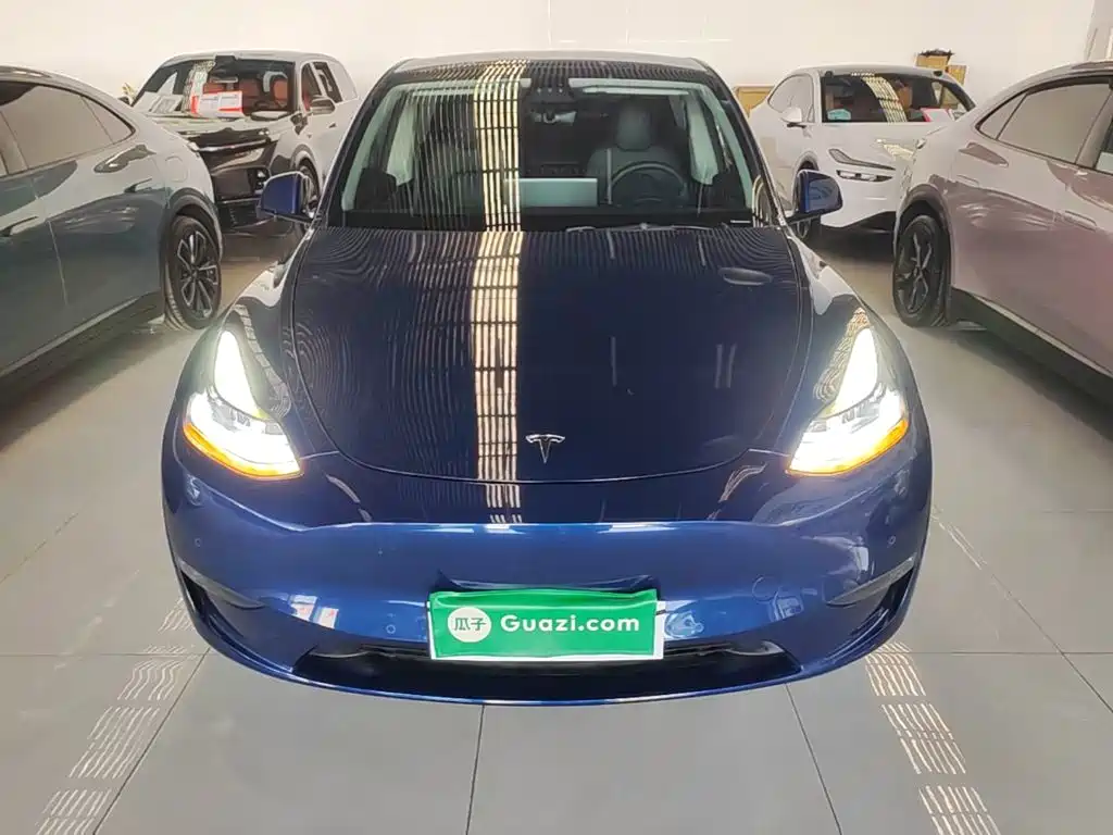 Tesla Model Y — миниатюра 3
