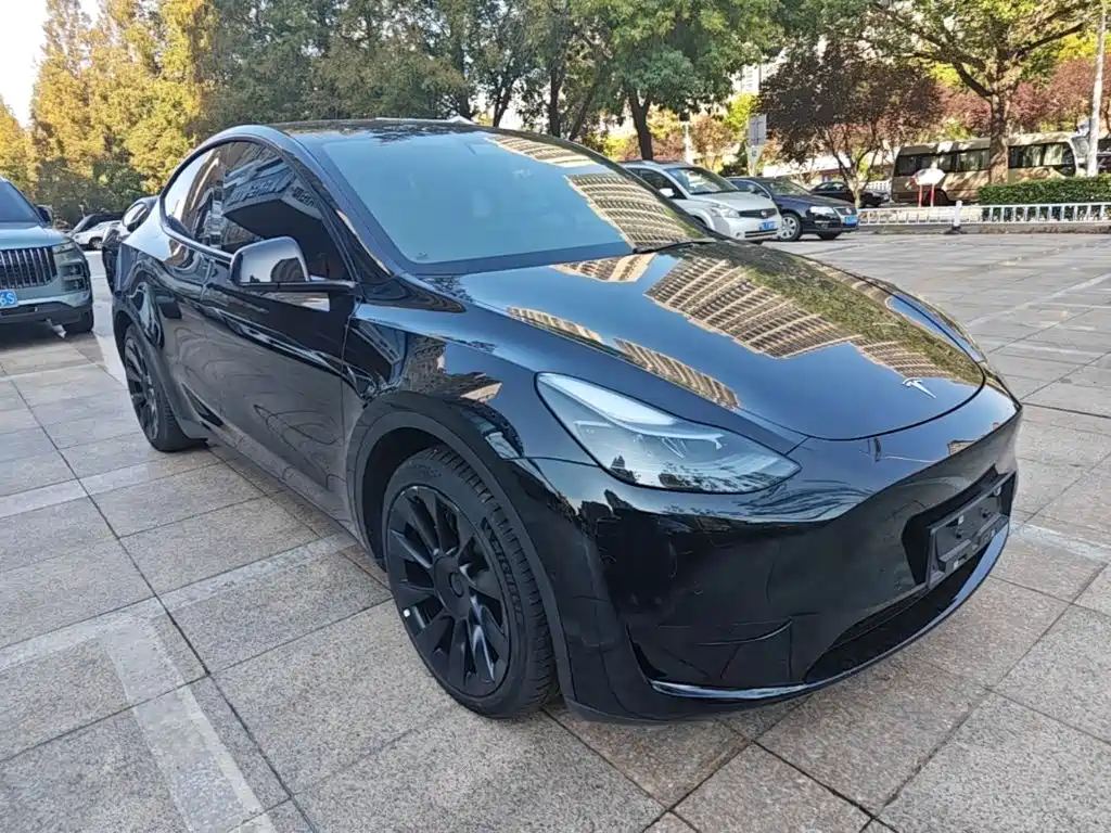 Tesla Model Y — миниатюра 4