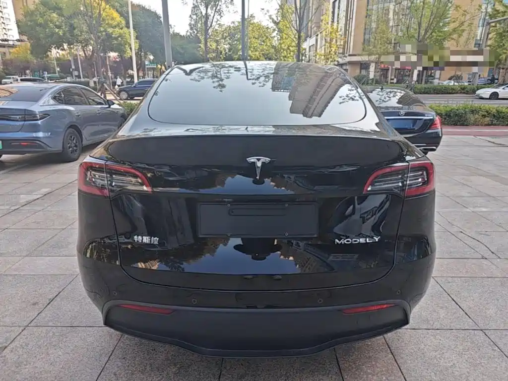 Tesla Model Y — миниатюра 6