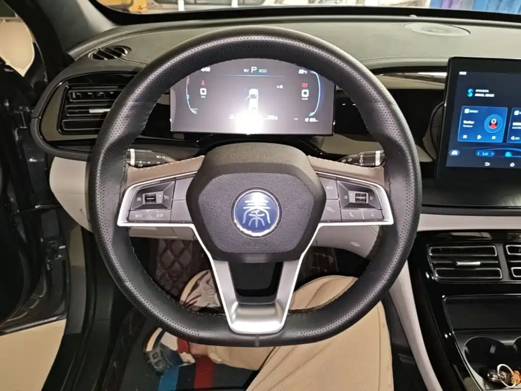 BYD Qin Plus PLUS 2024 DM-i 55KM Lead