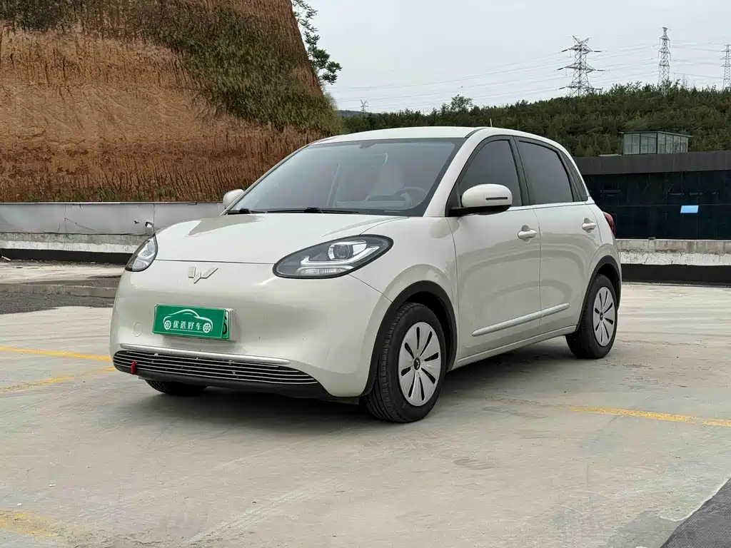 Wuling Bingo 2023