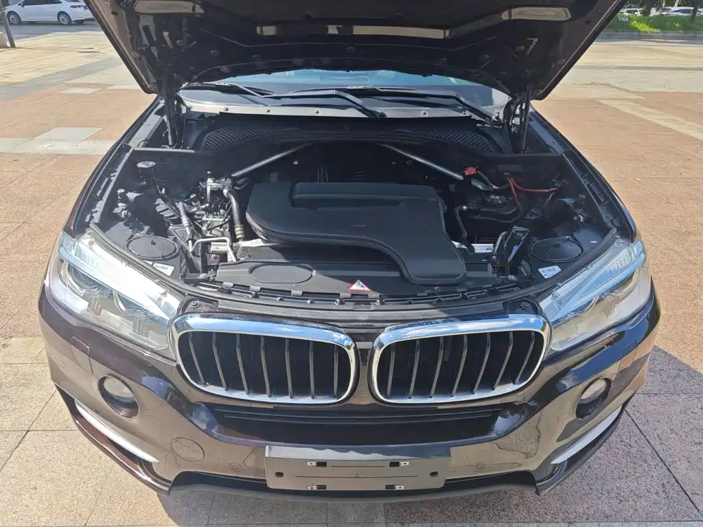 BMW X5 (Import) — миниатюра 15