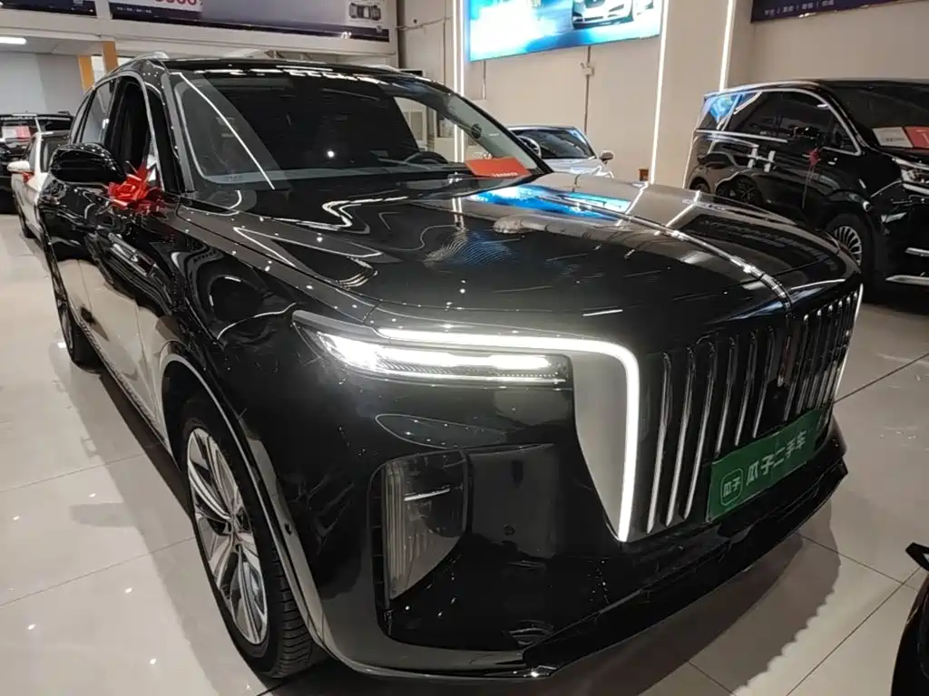 Hongqi Hongqi E-HS9 — миниатюра 4
