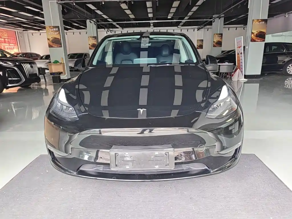 Tesla Model Y — миниатюра 3