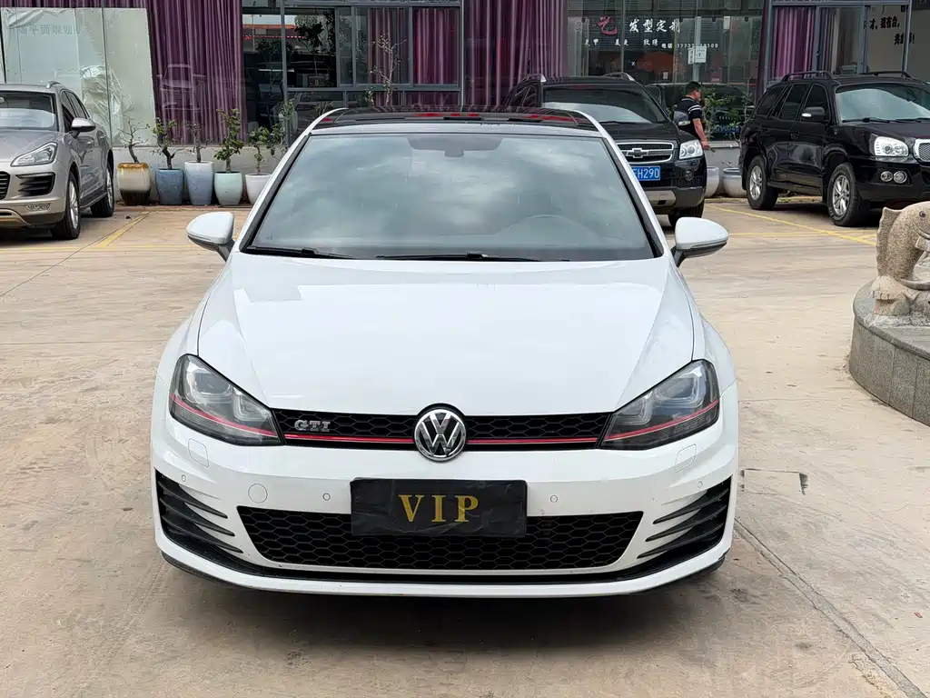 Volkswagen Golf GTI 2.0TSI GTI, фото 2