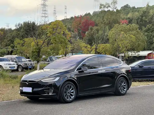 TESLA MODEL X 2018