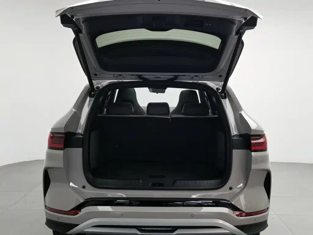 BYD PLUS New Energy — миниатюра 16