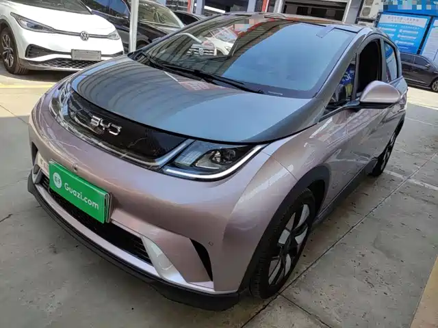 2024 BYD Dolphin