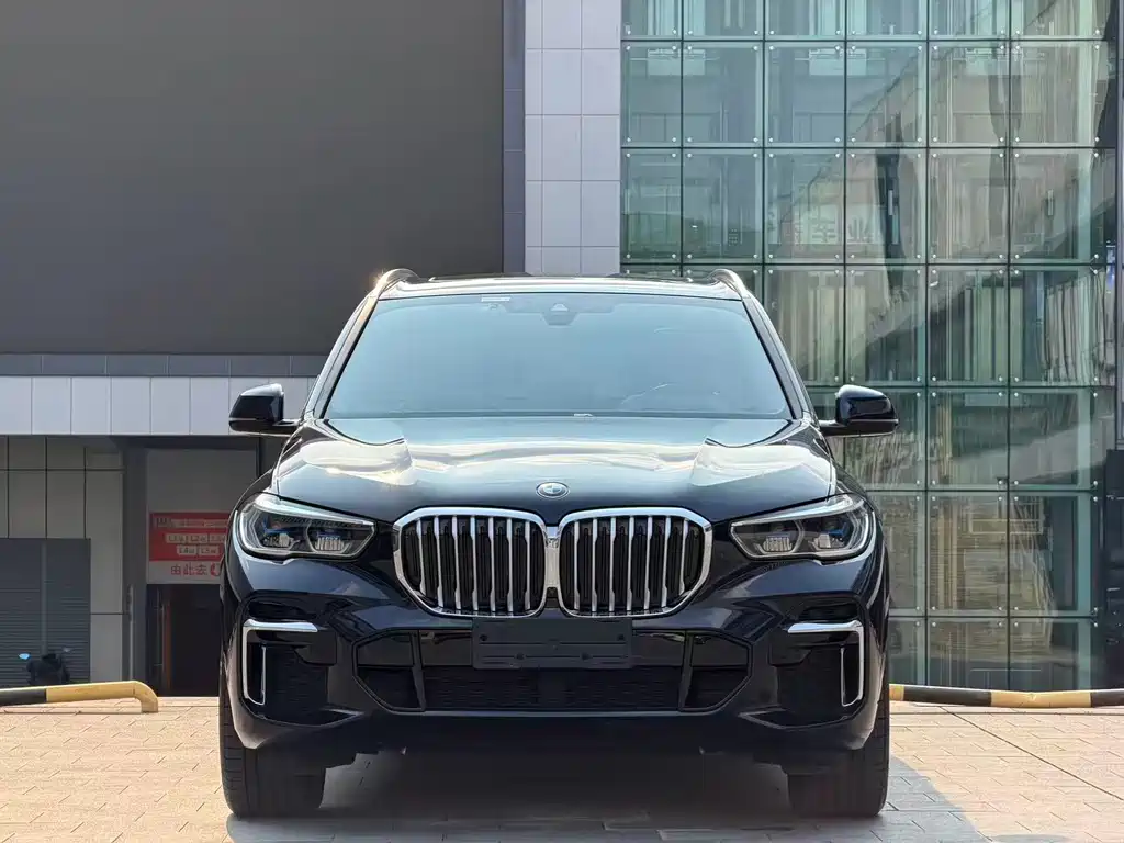 BMW X5 — миниатюра 2