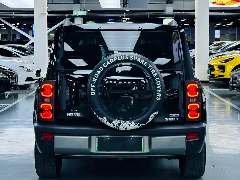 Haval Menglong New Energy — миниатюра 14