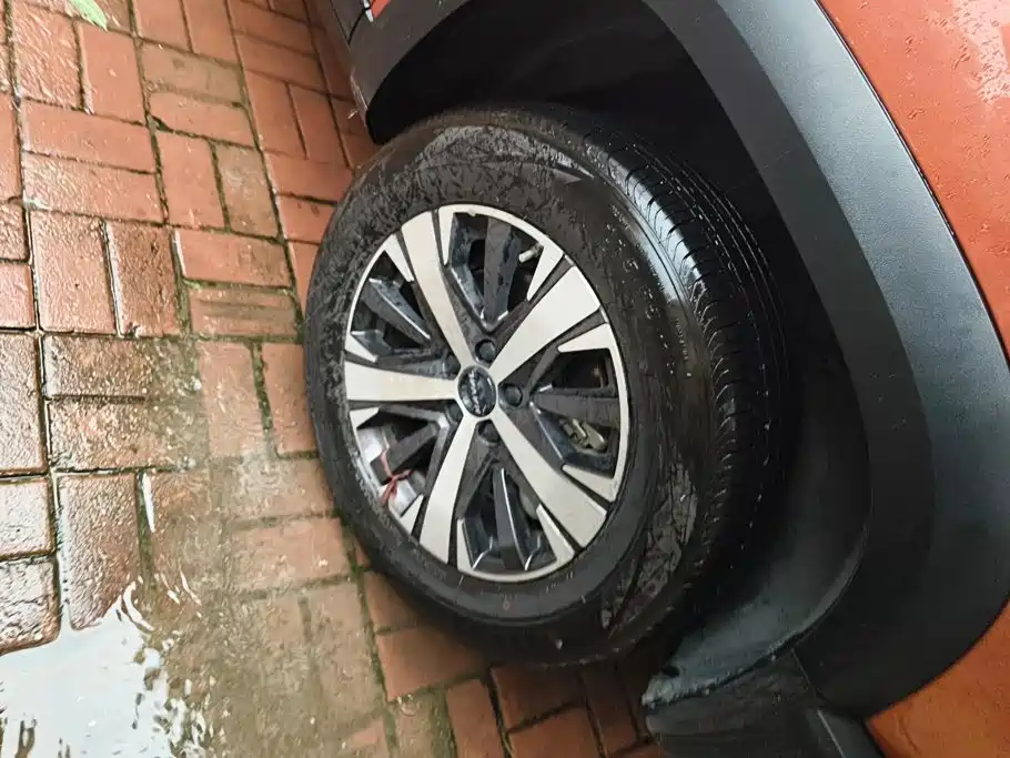 Haval Big Dog — миниатюра 6