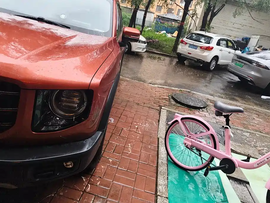 Haval Big Dog — миниатюра 5