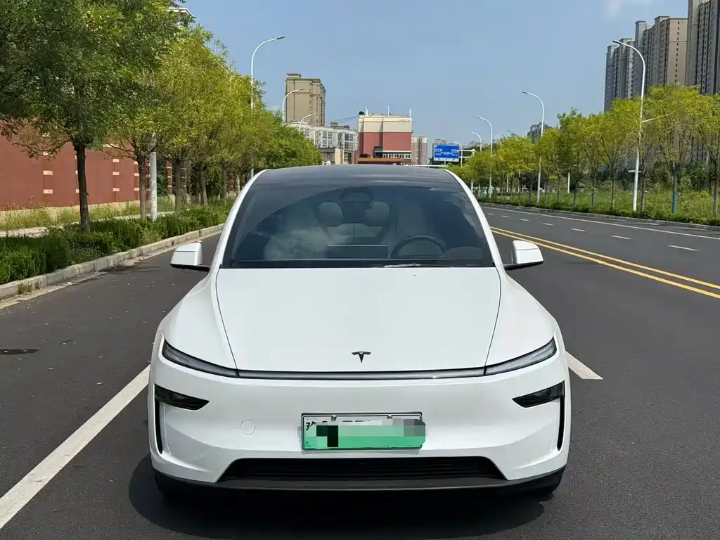 Tesla Model Y L — миниатюра 2