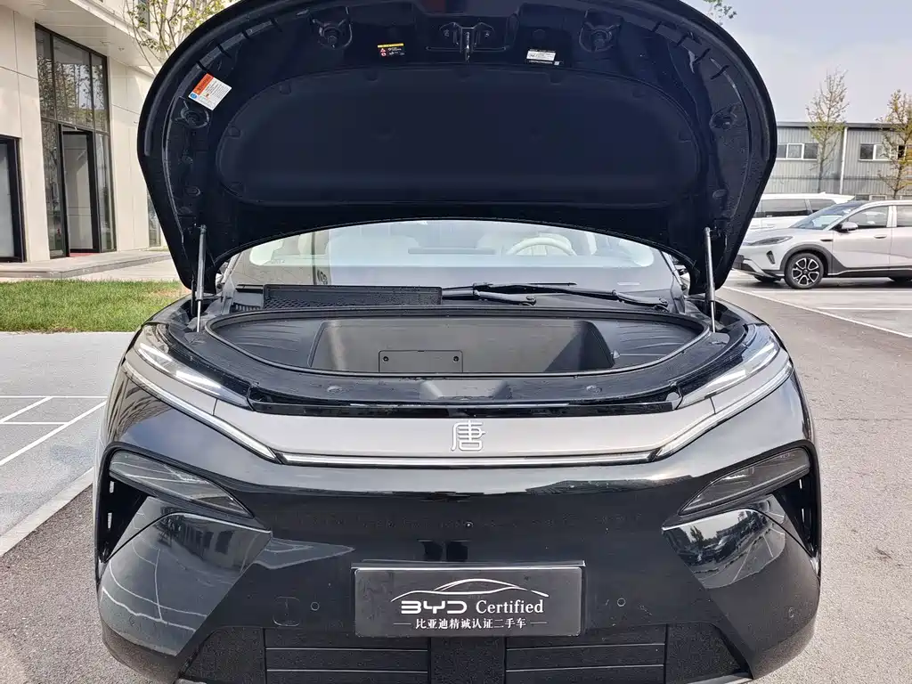 BYD Tang L — миниатюра 2