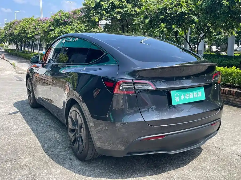 Tesla Model Y — миниатюра 6