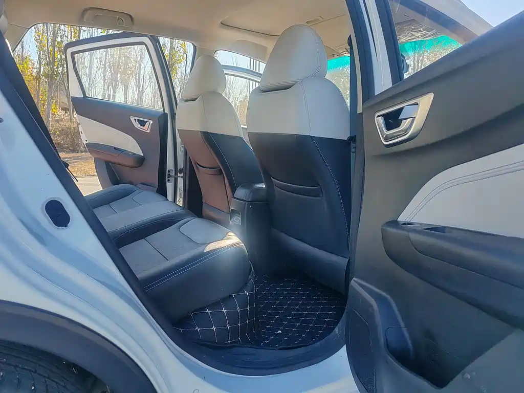 RUILAN AUTOMOBILE MAPLE LEAF 30X