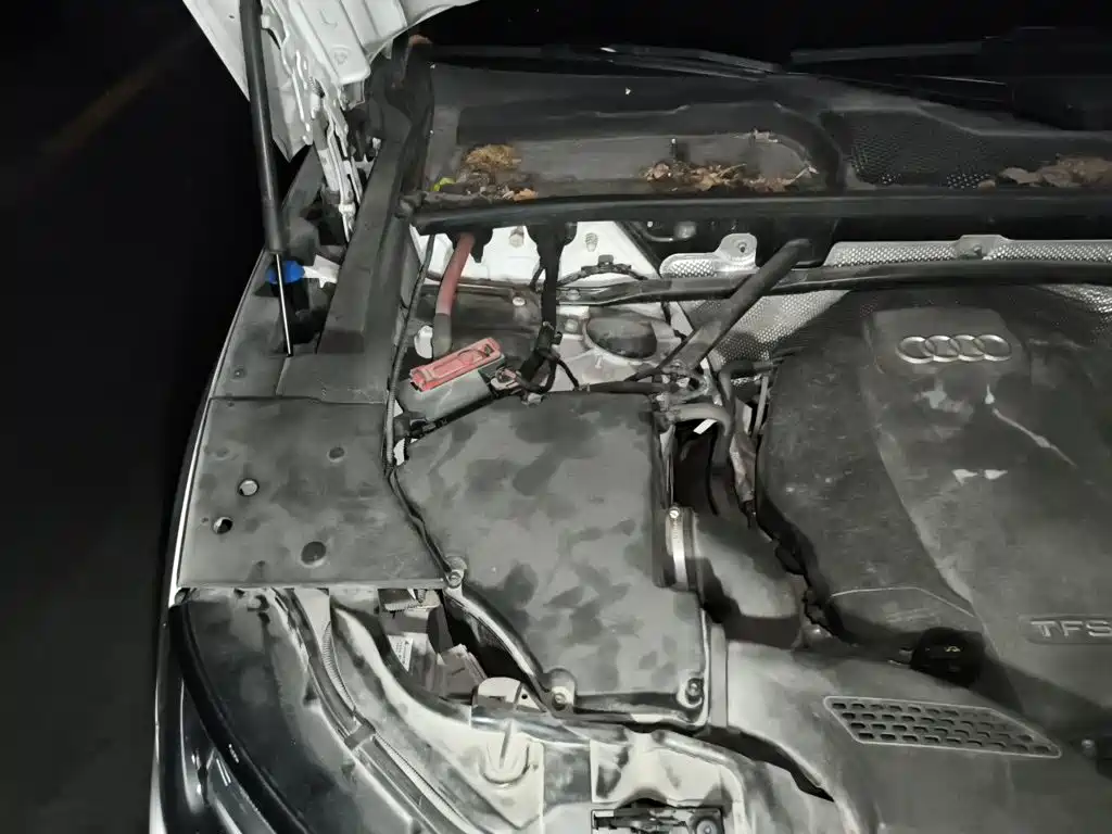 Audi Q5L — миниатюра 20