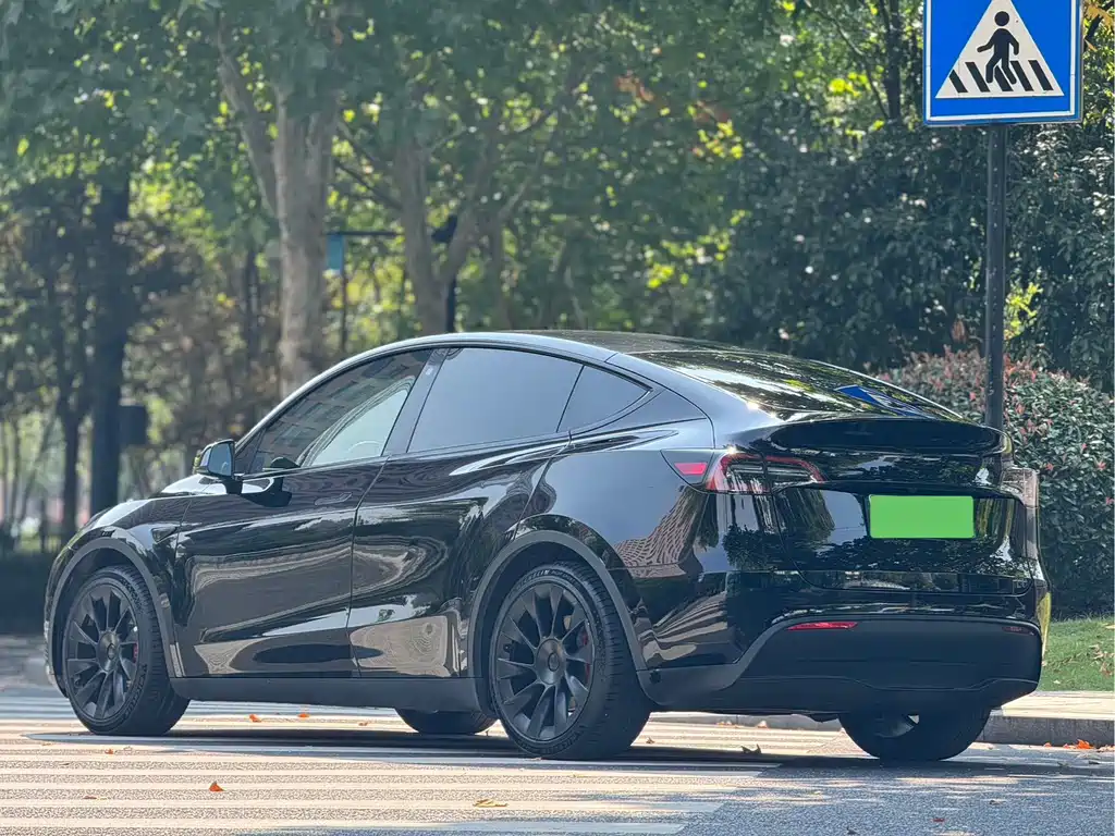 Tesla Model Y — миниатюра 10