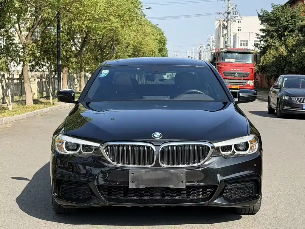 BMW 5 Series — миниатюра 2