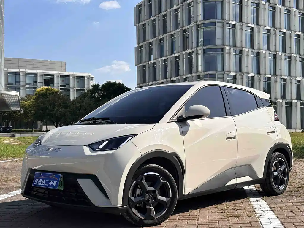 BYD Seagull