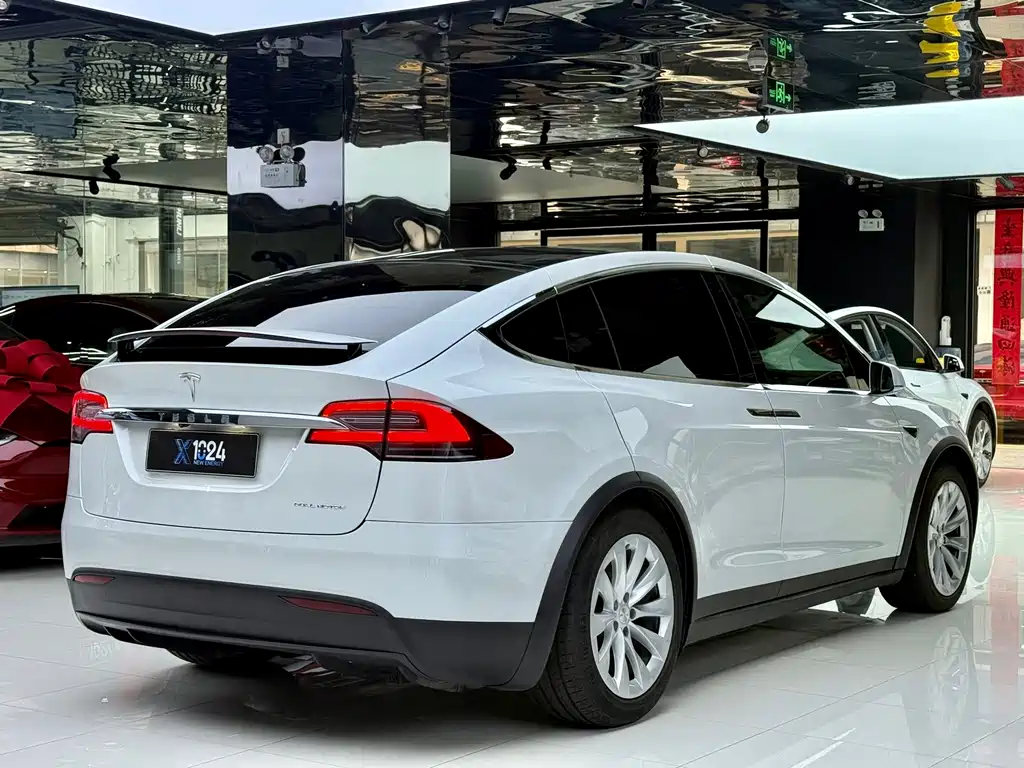 Tesla Model X — миниатюра 4