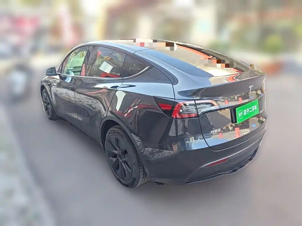Tesla Model Y — миниатюра 4