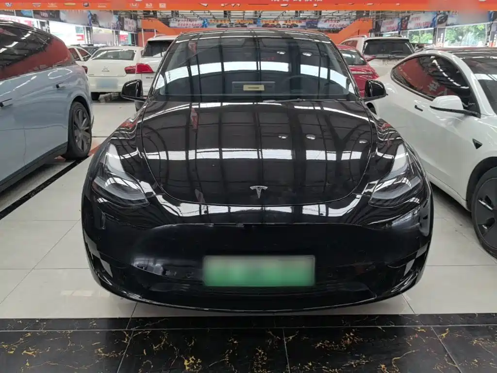Tesla Model Y — миниатюра 3