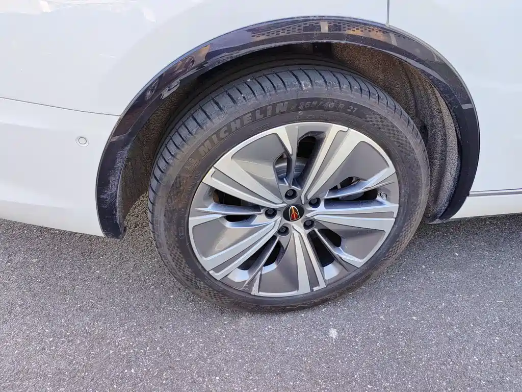 Hongqi E-HS9 2021 460km мест