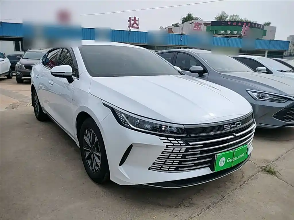 BYD Destroyer 05 2024 DM-i 55KM Luxury