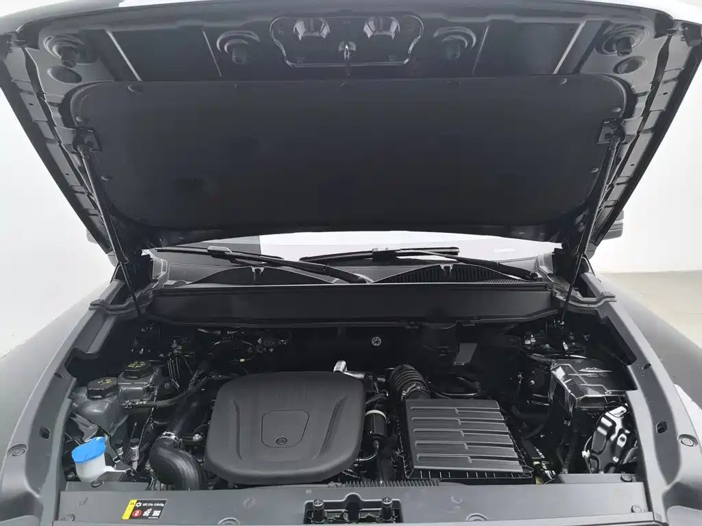 Haval Menglong New Energy — миниатюра 6