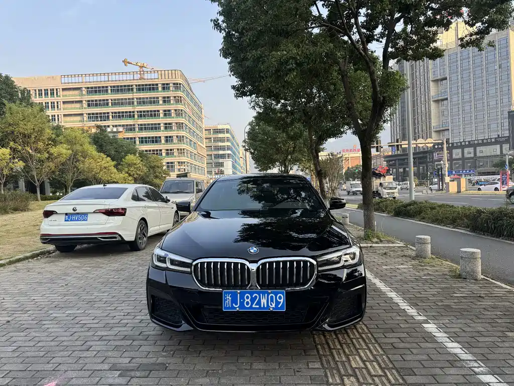 BMW 5 Series — миниатюра 2