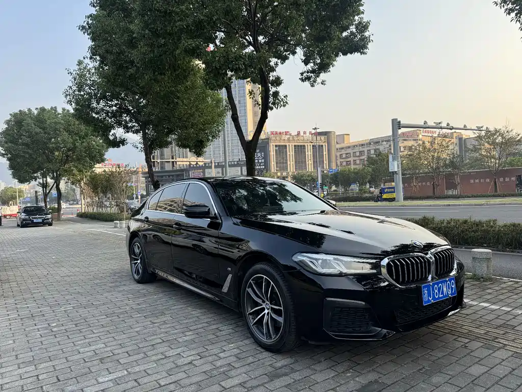 BMW 5 Series — миниатюра 3