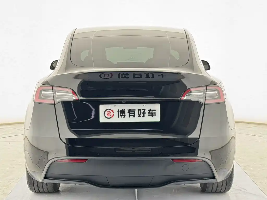 Tesla Model Y — миниатюра 7