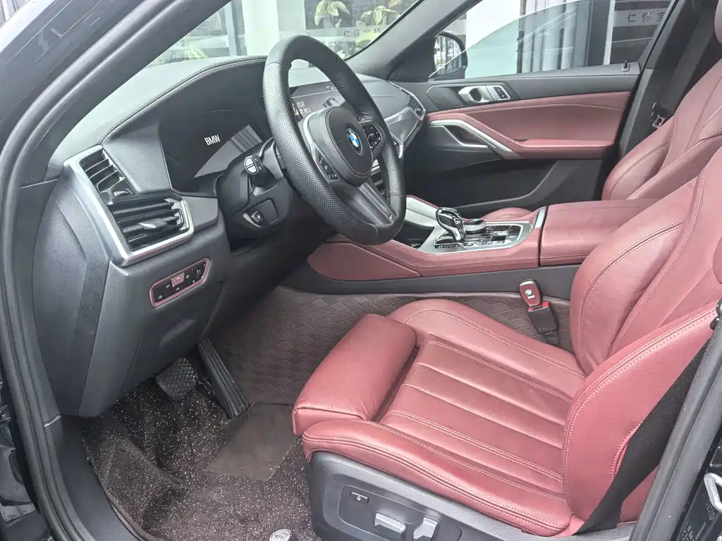 BMW X6 — миниатюра 7