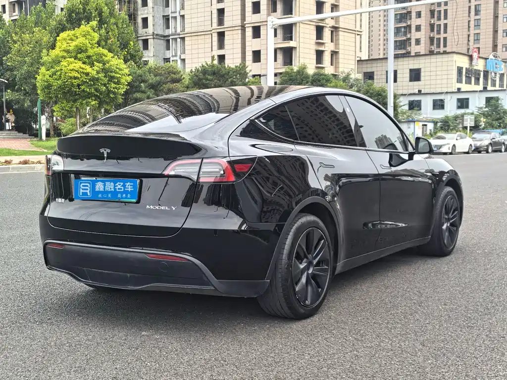 Tesla Model Y — миниатюра 26