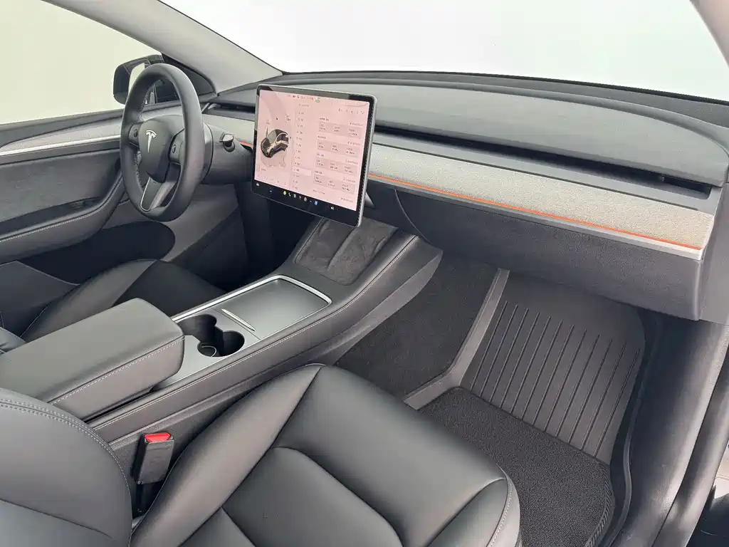 Tesla Model Y — миниатюра 10